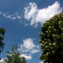 DSCF0819.JPG