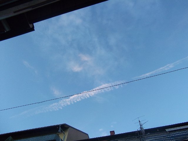 DSCF0747