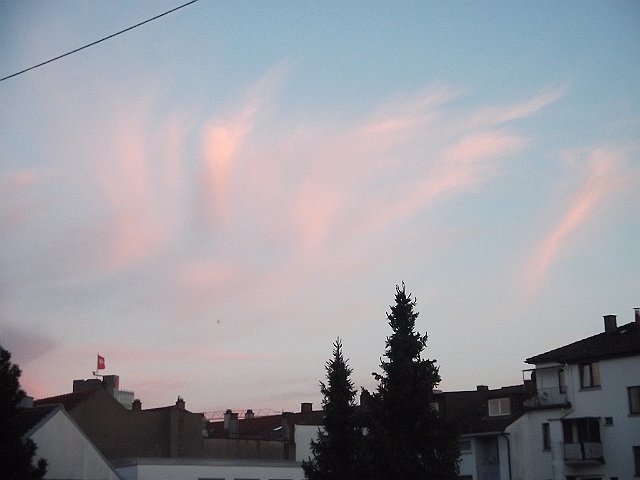DSCF0751