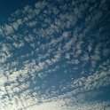 Foto-0617.jpg