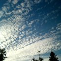 Foto-0618.jpg