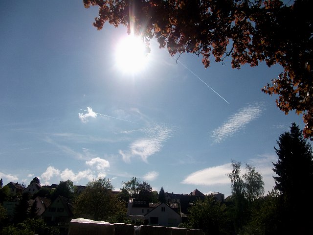 DSCF0697