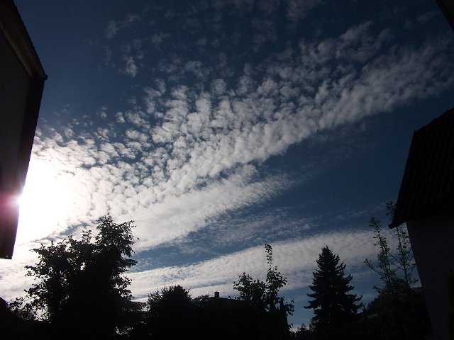 DSCF0704