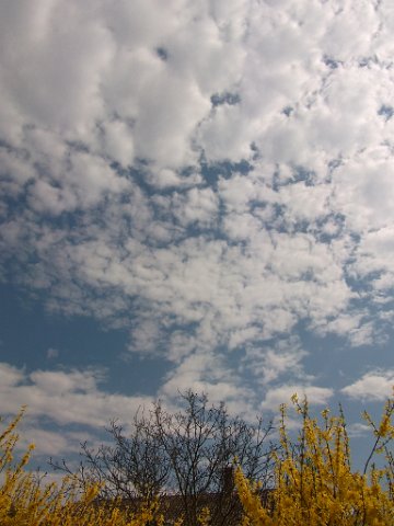 DSCF0411
