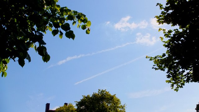 DSCF0967