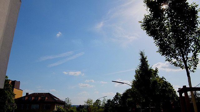 DSCF0975