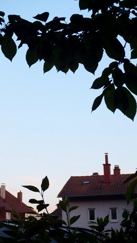 DSCF0985